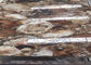 化石木の半宝石の平板は表面によってカスタマイズされる切口を滑らかにします サプライヤー