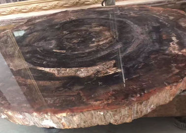 中国 磨かれたブラウンの自然な半宝石の平板の化石木 サプライヤー
